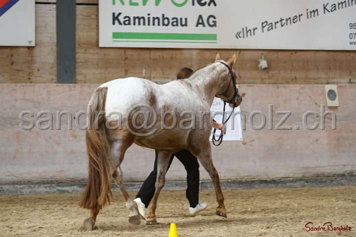 24-ApHC HIH_050.jpg